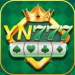 YN777