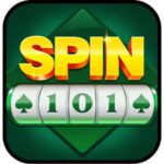Spin 101
